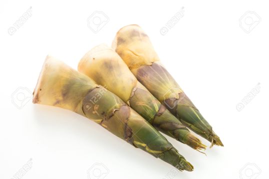 Bamboo shoot vegetables isolated